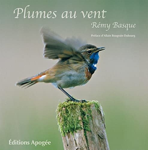 PLUMES AU VENT, de Rémy Basque | portada del libro