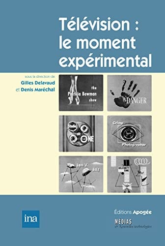 TELEVISION LE MOMENT EXPERIMENTAL, de Gilles Delavaud | portada del libro