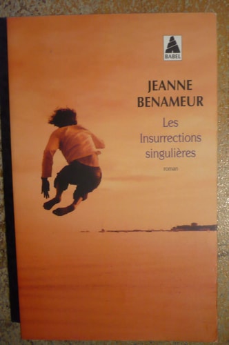 LES INSURRECTIONS SINGULIERES, de Jeanne Benameur | portada del libro