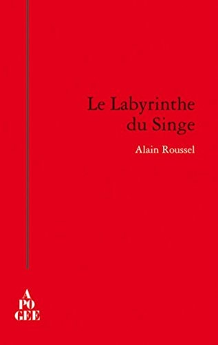 LE LABYRINTHE DU SINGE, de Alain Roussel | portada del libro