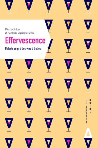 EFFERVESCENCE, de Aymone Vigière d'Anval | portada del libro