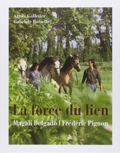 LA FORCE DU LIEN, de Magali Delgado | portada del libro