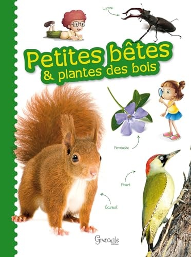 PETITES BETES ET PLANTES DES BOIS, de Alice Delvaille | portada del libro