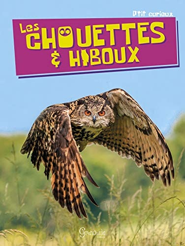 LES CHOUETTES ET HIBOUX, de Virginie Jobé-Truffer | portada del libro