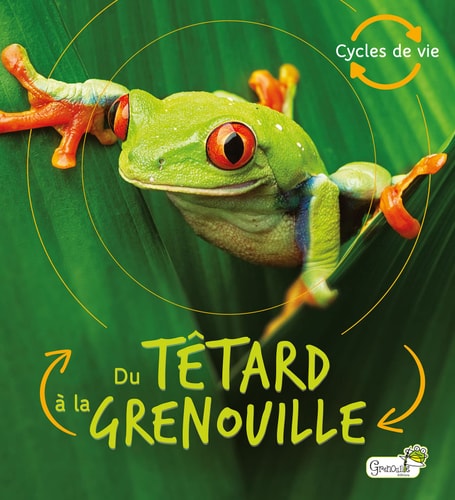 DU TETARD A LA GRENOUILLE, de Camilla De La Bédoyère | portada del libro