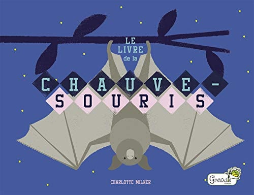 LE LIVRE DE LA CHAUVE-SOURIS, de Charlotte Milner | portada del libro
