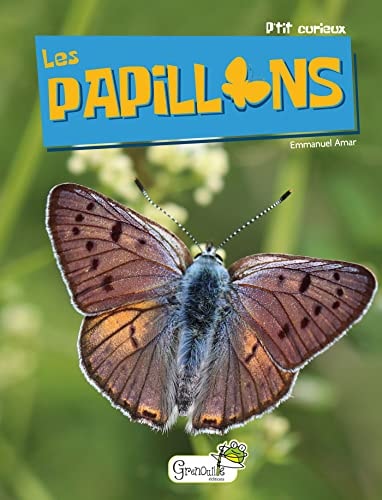 LES PAPILLONS, de Emmanuel Amar | portada del libro