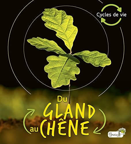 DU GLAND AU CHENE, de Camilla De La Bédoyère | portada del libro
