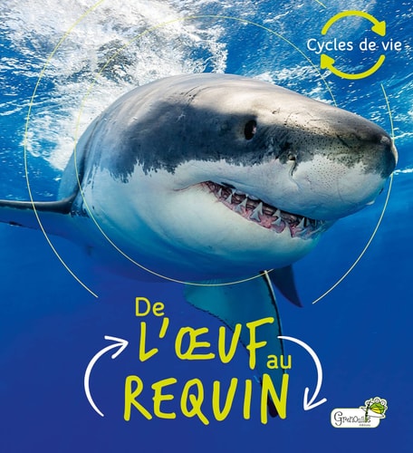 DE L'OEUF AU REQUIN, de Camilla De La Bédoyère | portada del libro
