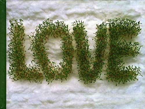 LOVE, de Isabelle Gil | portada del libro