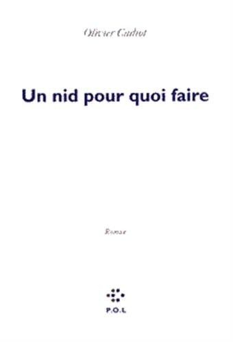UN NID POUR QUOI FAIRE, de Olivier Cadiot | portada del libro
