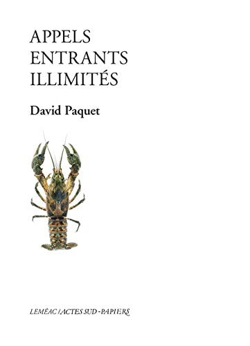 APPELS ENTRANTS ILLIMITES, de David Paquet | portada del libro