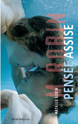 PENSEE ASSISE, de Mathieu Robin | portada del libro