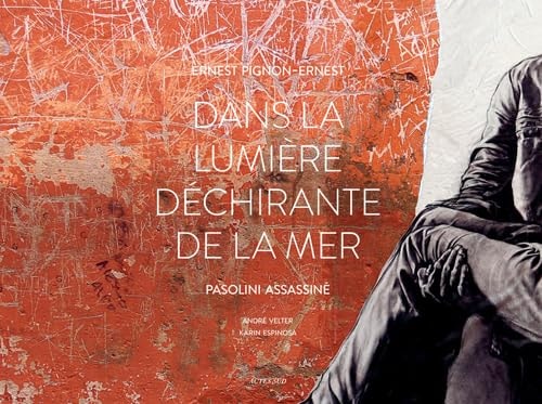 DANS LA LUMIERE DECHIRANTE DE LA MER, de André Velter | portada del libro