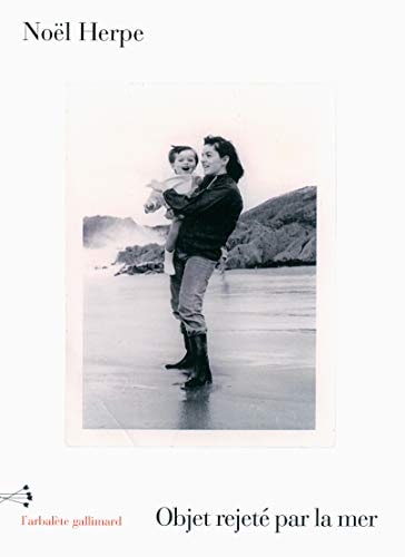 OBJET REJETE PAR LA MER, de Noël Herpe | portada del libro