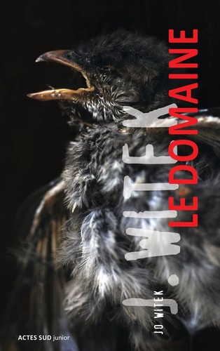 LE DOMAINE, de Jo Witek | portada del libro