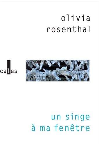 SINGE A MA FENETRE, de Olivia Rosenthal | portada del libro
