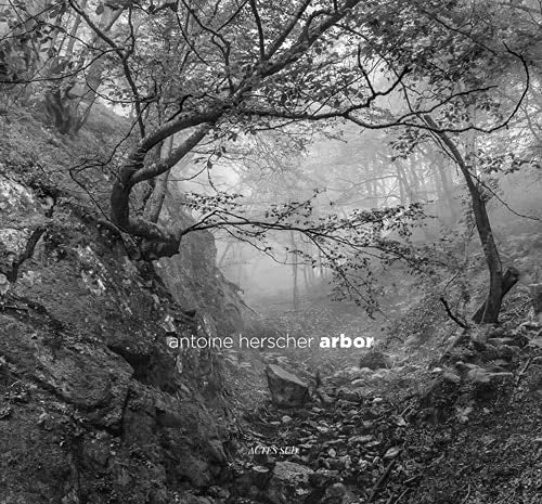 ARBOR, de Jean-Paul Curnier | portada del libro