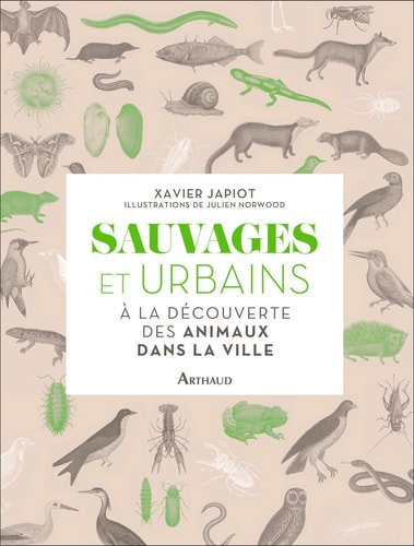 SAUVAGES ET URBAINS A LA DECOUVERTE DES ANIMAUX DANS LA VILL, de Xavier Japiot | portada del libro