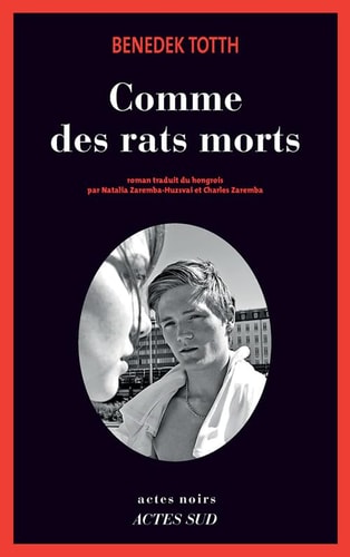 COMME DES RATS MORTS, de Benedek Totth | portada del libro