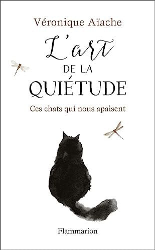 RT DE LA QUIETUDE, de AIACHE VERONIQUE | portada del libro