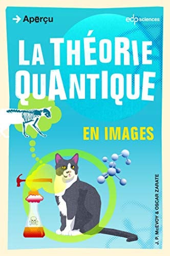 THEORIE QUANTIQUE EN IMAGES LA, de MCEVOY JP | portada del libro