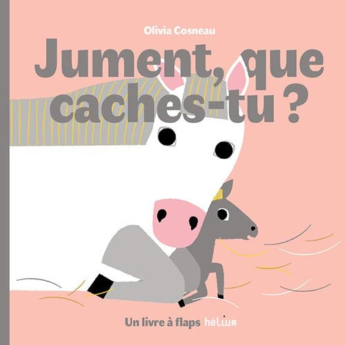 JUMENT QUE CACHES-TU, de Olivia Cosneau | portada del libro