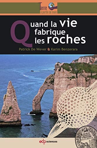 QUAND LA VIE FABRIQUE LES ROCHES, de DE WEVER P | portada del libro