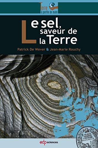SEL SAVEUR DE LA TERRE LE, de DE WEVER PATRIC | portada del libro