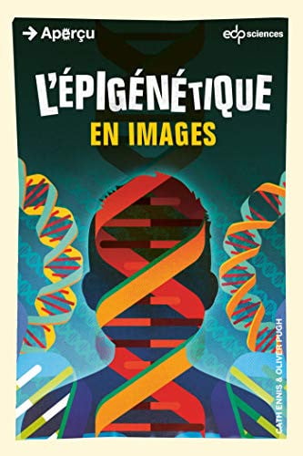 EPIGENETIQUE EN IMAGES L, de CATHY ENNIS | portada del libro