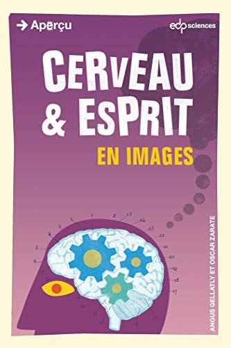 CERVEAU ET ESPRIT EN IMAGES, de GELLATLY ANGUS | portada del libro