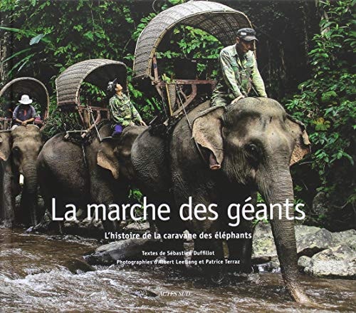 LA MARCHE DES GEANTS, de Sébastien Duffillot | portada del libro