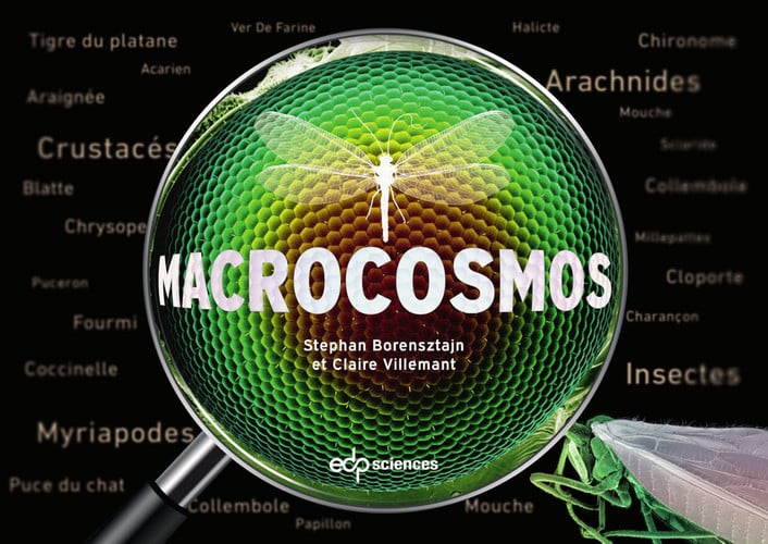MACROCOSMOS, de BORENSZTAJN STE | portada del libro