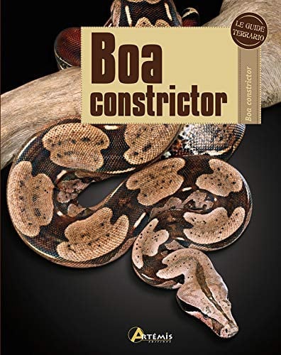BOA CONSTRICTOR, de COLLECTIF | portada del libro