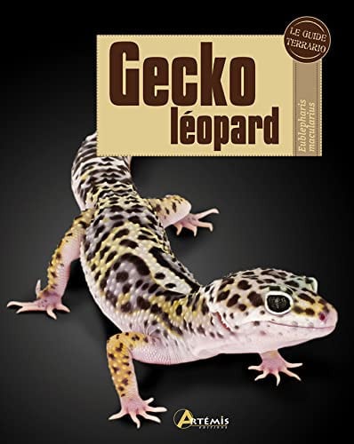 GECKO LEOPARD, de COLLECTIF | portada del libro