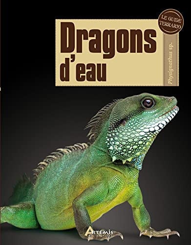 DRAGONS D'EAU, de LANGERWERF BERT | portada del libro