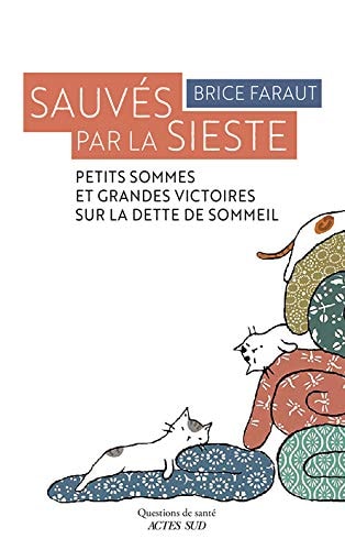 SAUVES PAR LA SIESTE, de Brice Faraut | portada del libro