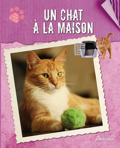 UN CHAT A LA MAISON, de FOURNIER A | portada del libro