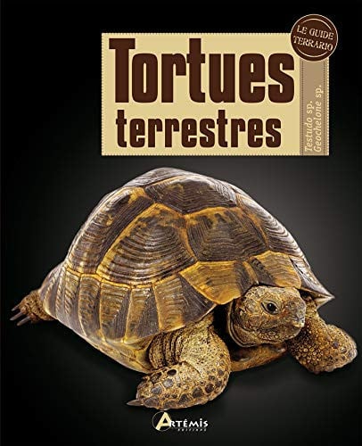 TORTUES TERRESTRES, de COLLECTIF | portada del libro