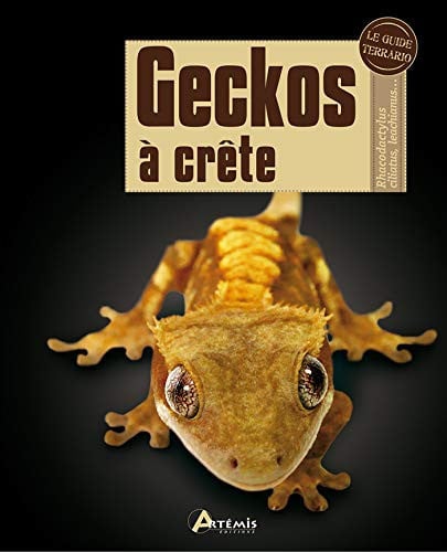 GECKOS A CRETE, de BLACK A | portada del libro