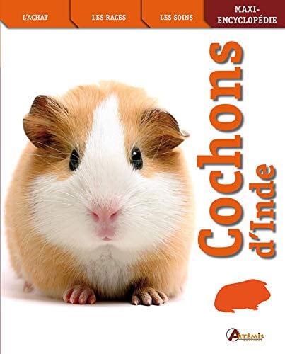 COCHONS D'INDE, de MAHONEY M | portada del libro