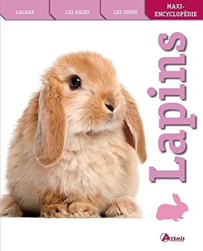 LAPINS, de RUSSEL G | portada del libro