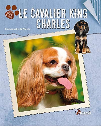 LE CAVALIER KING CHARLES, de DAL SECCO E | portada del libro