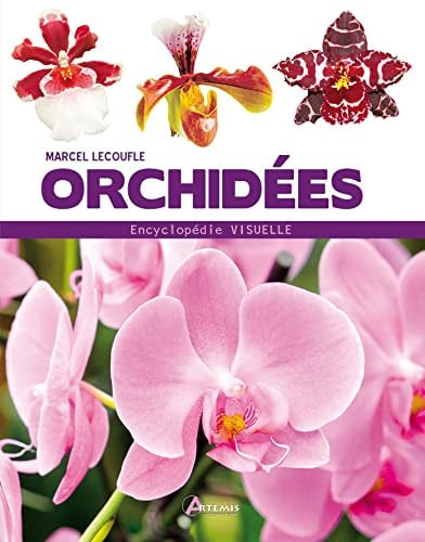 ORCHIDEES, de LECOUFLE M | portada del libro