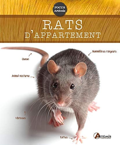 RATS D'APPARTEMENT, de DIETZ P SCHNEI | portada del libro