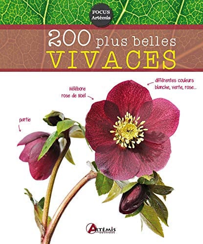 200 PLUS BELLES VIVACES, de COLLECTIF | portada del libro