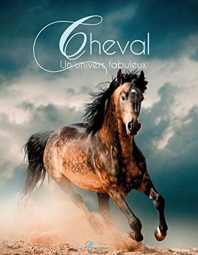 CHEVAL UN UNIVERS FABULEUX, de SECCO E | portada del libro