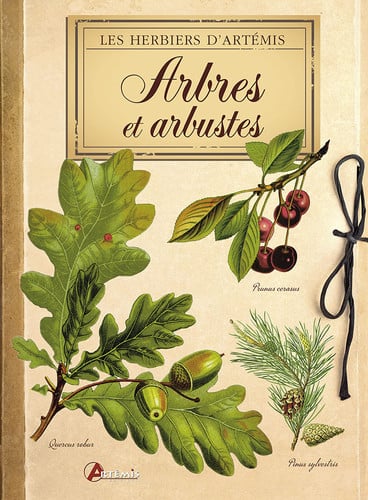 ARBRES ET ARBUSTES, de COLLECTIF | portada del libro