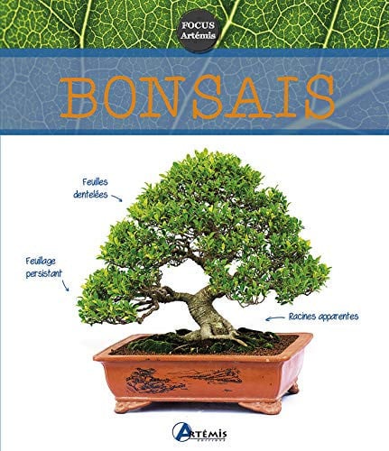 BONSAIS, de CHARLEUF-CALMET | portada del libro
