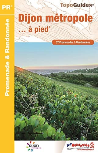 DIJON METROPOLE A PIED P211, de COLLECTIF | portada del libro